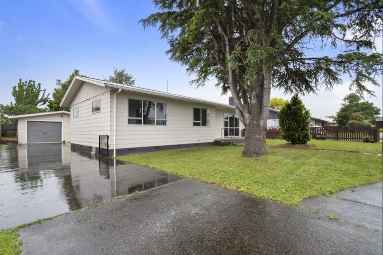 Photo of property in 17 Tingey Avenue, Feilding, 4702