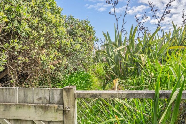 Photo of property in 59 Tutere Street, Waikanae Beach, Waikanae, 5036