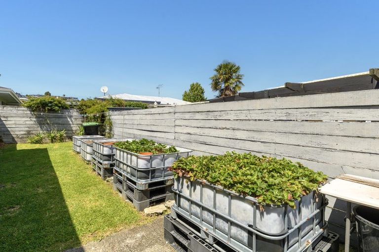 Photo of property in 406a Ngatai Road, Bellevue, Tauranga, 3110