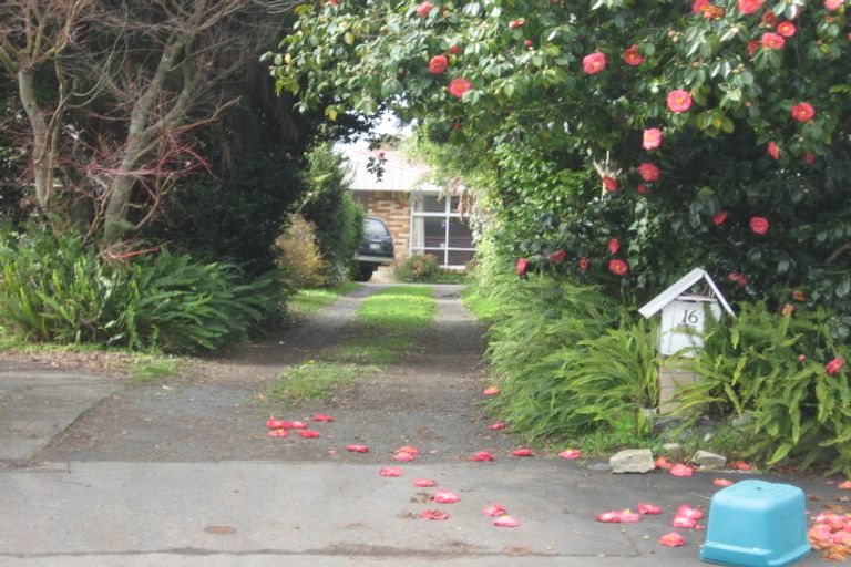 Photo of property in 16 Pryce Place, Silverdale, Hamilton, 3216