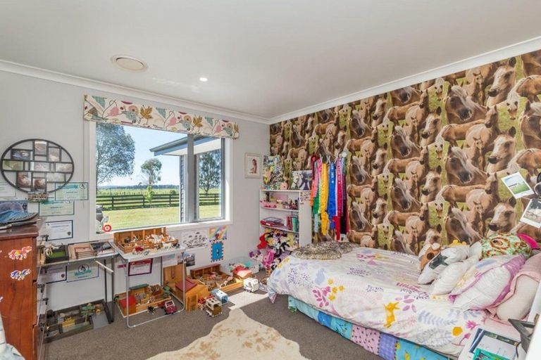 Photo of property in 441 Tararua Road, Levin, 5571