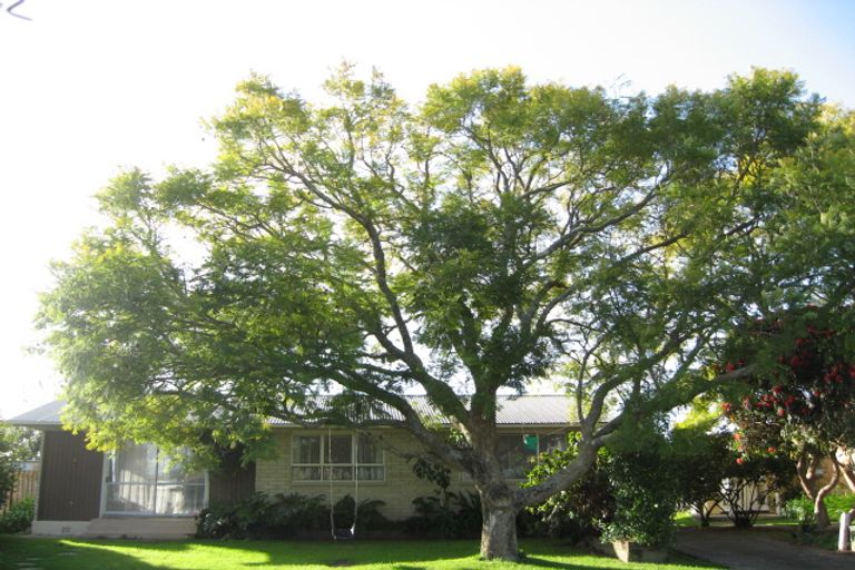 Photo of property in 48 Riverside Drive, Whakatane, 3120