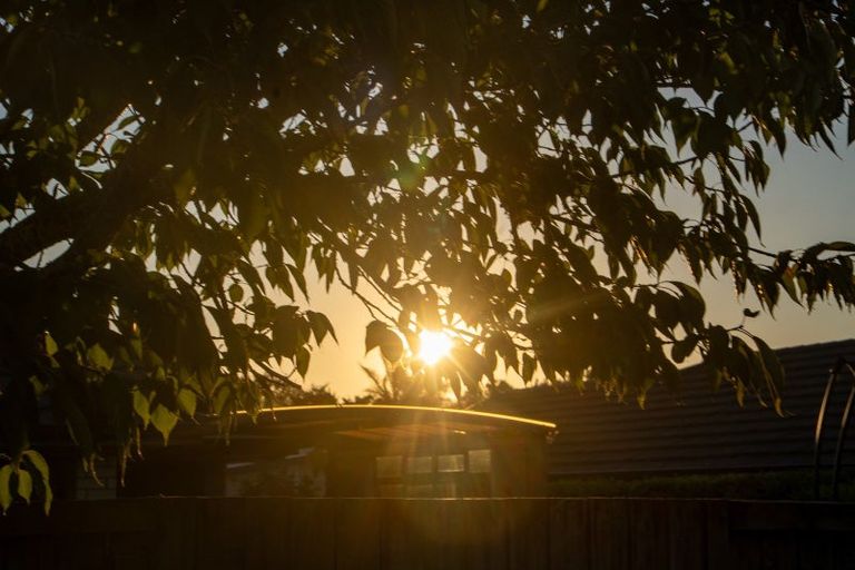 Photo of property in 17 Wessex Place, Rototuna North, Hamilton, 3210