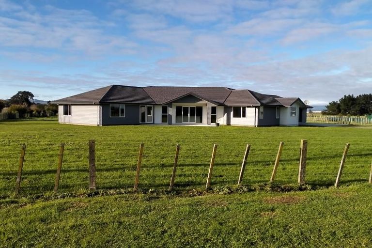 Photo of property in 115 Clevely Line, Bunnythorpe, Palmerston North, 4478