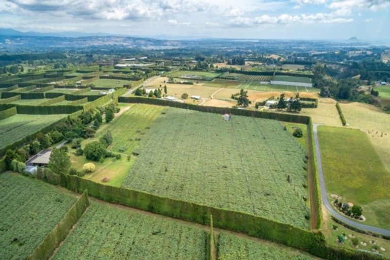 Photo of property in 905 Oropi Road, Oropi, Tauranga, 3173