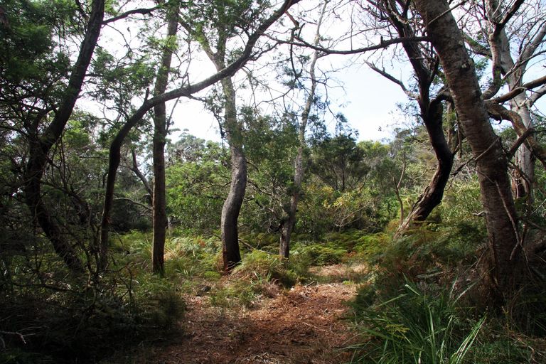 Photo of property in 63 Trig Road, Houhora, Kaitaia, 0484