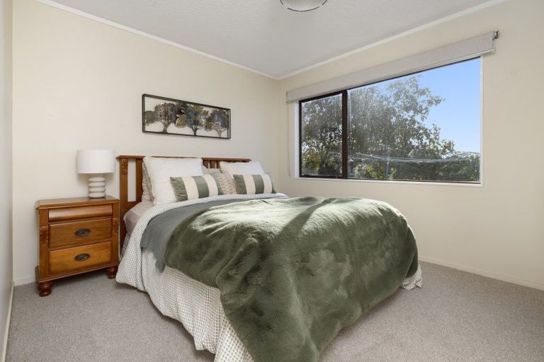 Photo of property in 67 Laurel Drive, Whakamarama, Tauranga, 3179