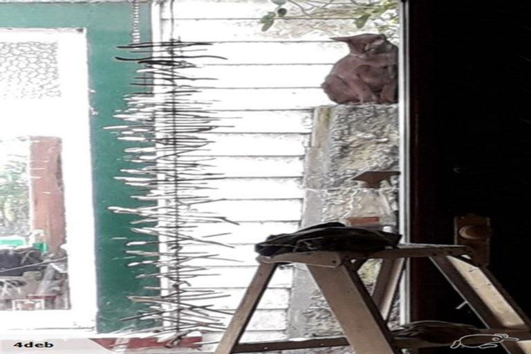 Photo of property in 176 The Esplanade, Island Bay, Wellington, 6023