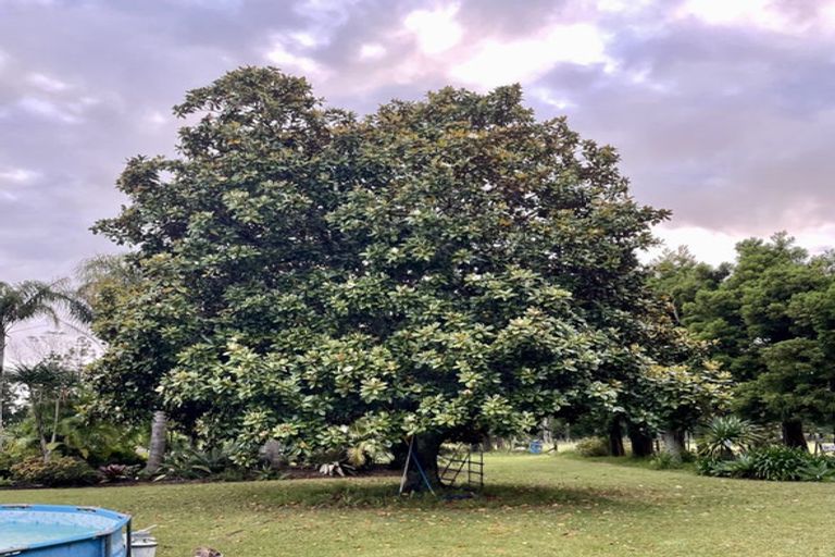 Photo of property in 17 Te Ra Road, Kaeo, Kerikeri, 0295