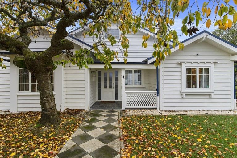 Photo of property in 1 Fow Street, Hamilton Central, Hamilton, 3204