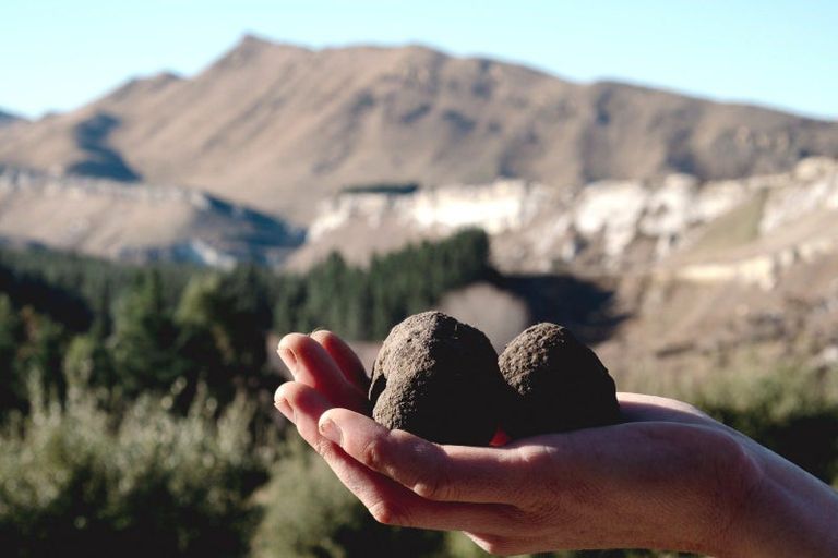 Photo of property in 101 Laidmore Road, Broomfield, 7482