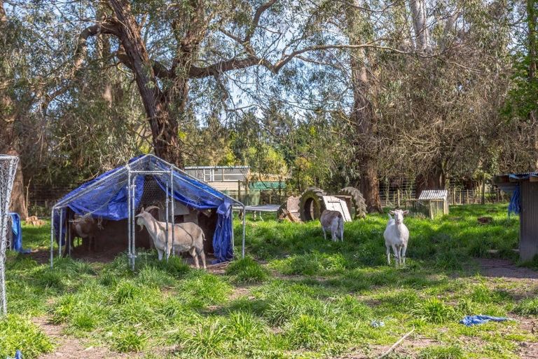 Photo of property in 53 Oak Street, Masterton, 5810