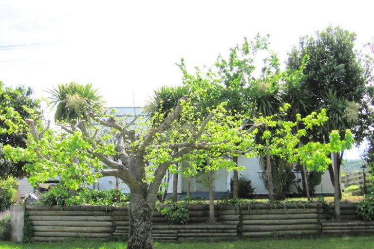 Photo of property in 17 Walsh Street, Mangapapa, Gisborne, 4010