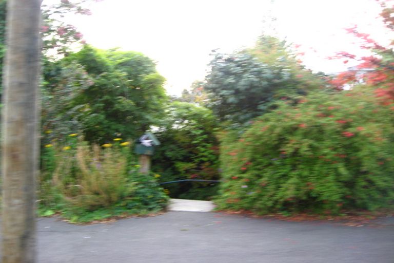 Photo of property in 21 Murray Street, Caversham, Dunedin, 9012