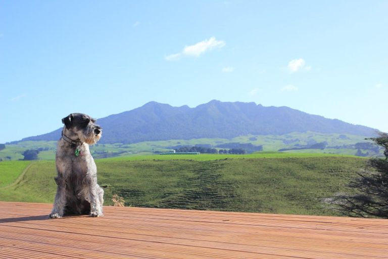 Photo of property in 87d Houchen Road, Raglan, 3295