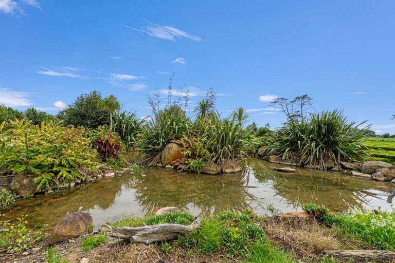 Photo of property in 4675 State Highway 12, Ruawai, 0592