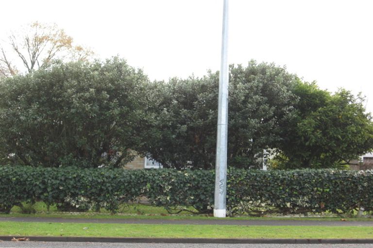 Photo of property in 55b Fifth Avenue, Enderley, Hamilton, 3214