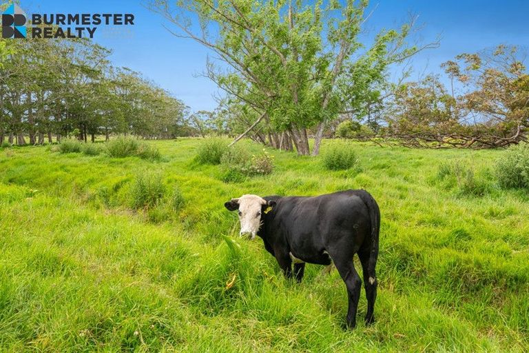 Photo of property in 233 Parkhurst Road, Parakai, 0830