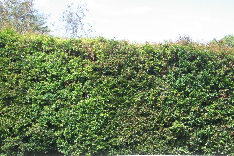 Photo of property in 1 Vaughan Crescent, Murrays Bay, Auckland, 0630