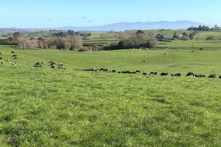 Photo of property in 233b Kio Kio Station Road, Otorohanga, 3974