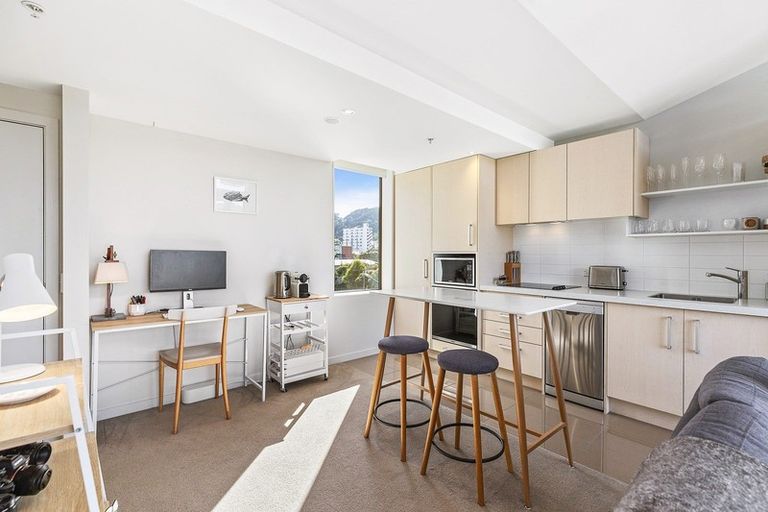 Photo of property in Nouvo Apartments, 5e/21 Rugby Street, Mount Cook, Wellington, 6021