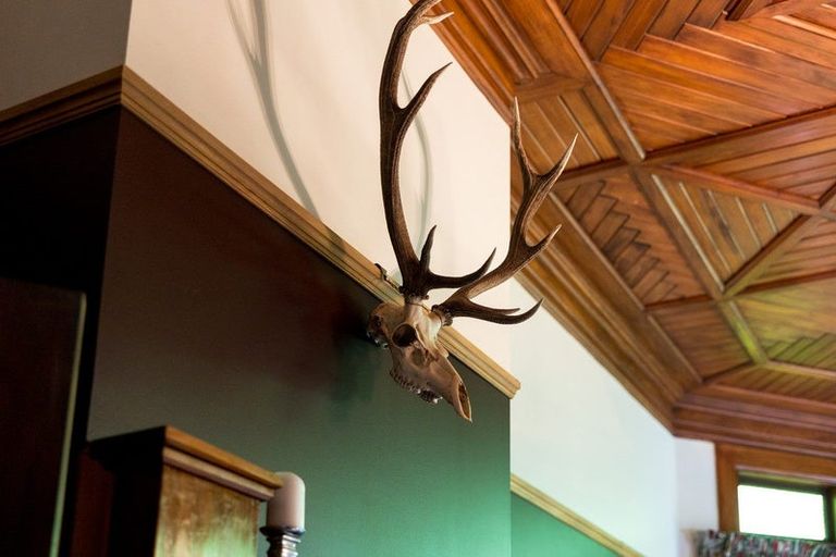 Photo of property in 42 Pohangina Road, Ashhurst, Palmerston North, 4470