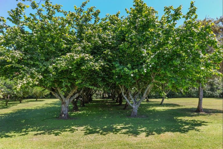 Photo of property in 49 Vista Road, Ohau, Levin, 5570