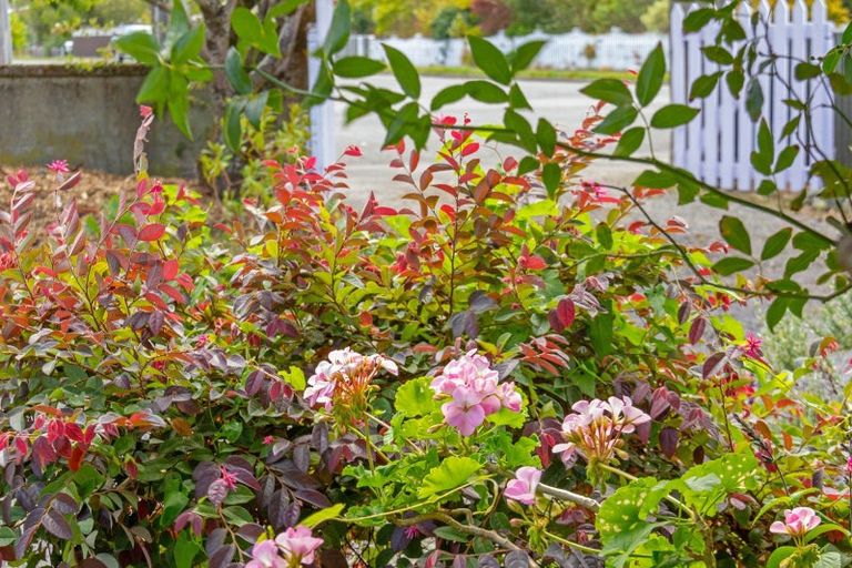 Photo of property in 20 Third Street, Lansdowne, Masterton, 5810