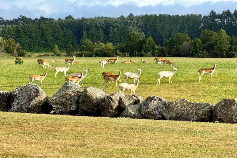 Photo of property in 18 Meadowlinks Lane, Pleasant Point, 7974