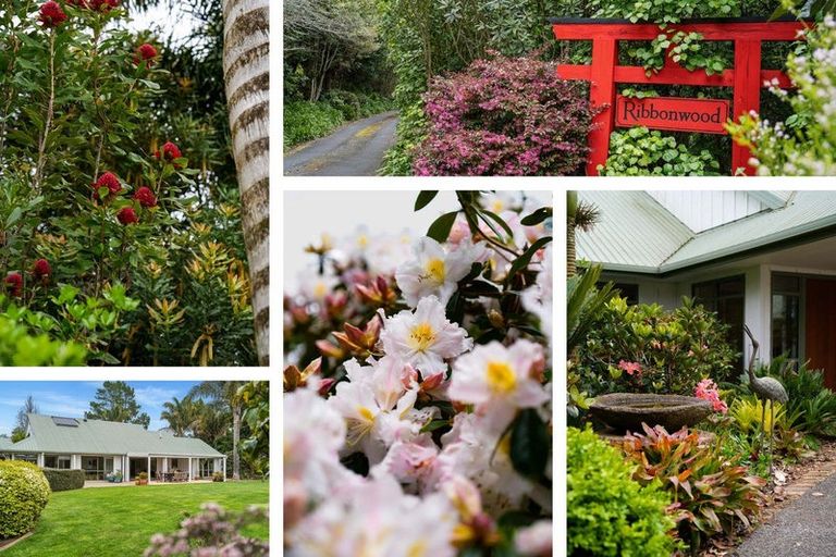 Photo of property in 40 Walden Lane, Minden, Tauranga, 3171