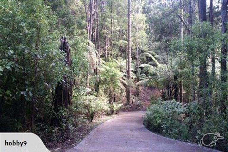 Photo of property in 19 Hobson Road, Lucas Heights, Auckland, 0632