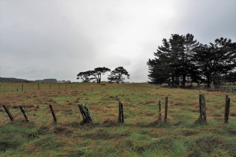 Photo of property in 43 Totara Park Road, Foxton, 4891