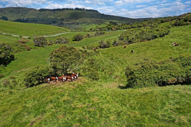 Photo of property in 304b Pigeon Flat Road, Mount Cargill, Waitati, 9085