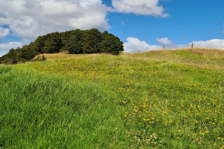 Photo of property in 304 Arapaoa Road, Tinopai, Matakohe, 0593