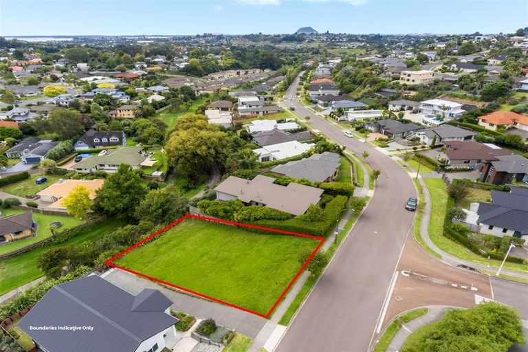 Photo of property in 113 Castlewold Drive, Bethlehem, Tauranga, 3110
