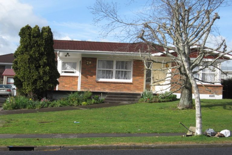 Photo of property in 78 Elliot Street, Pahurehure, Papakura, 2113
