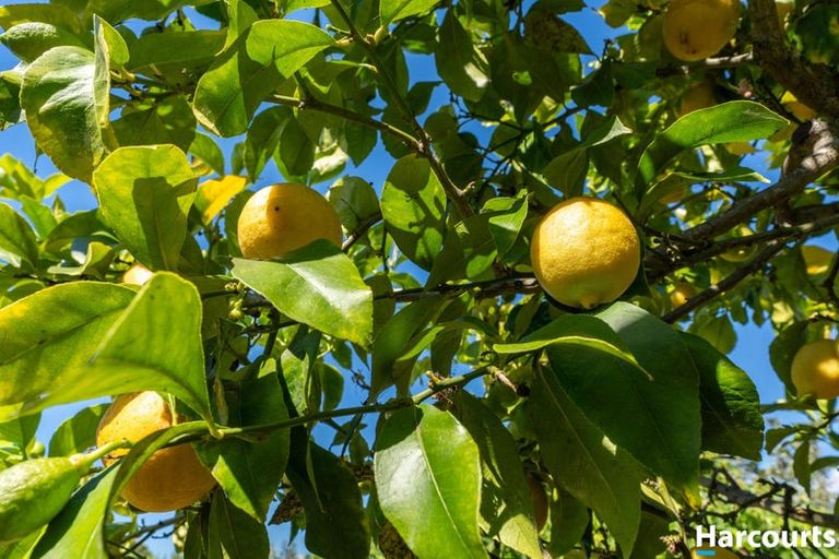 Photo of property in 12 Lionel Place, Mapua, 7005