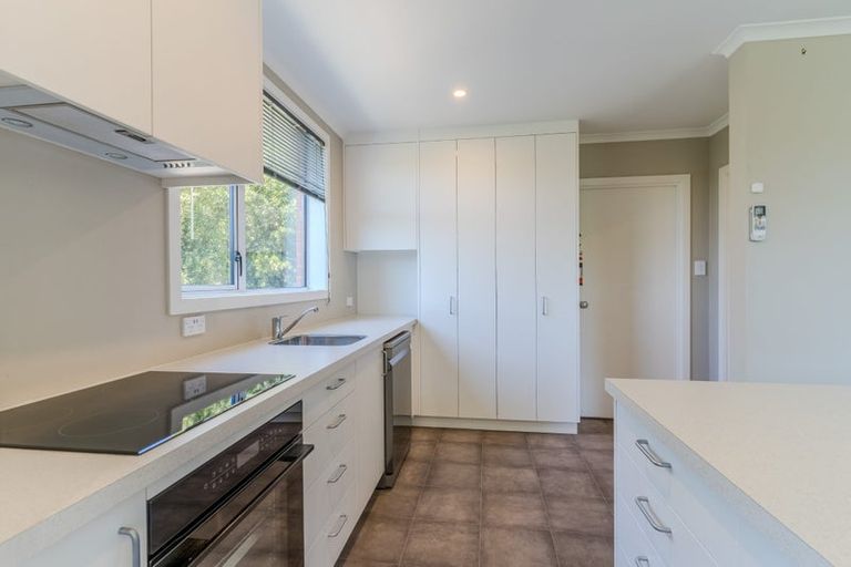 Photo of property in 20 Panmure Avenue, Calton Hill, Dunedin, 9012