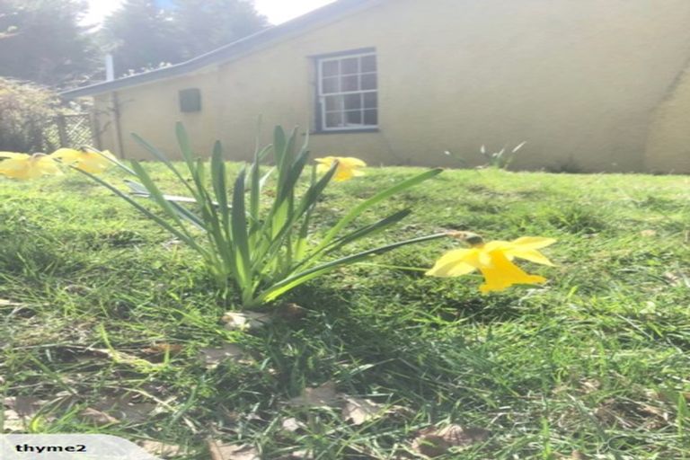 Photo of property in 42 Wet Gully Road, Naseby, Ranfurly, 9396