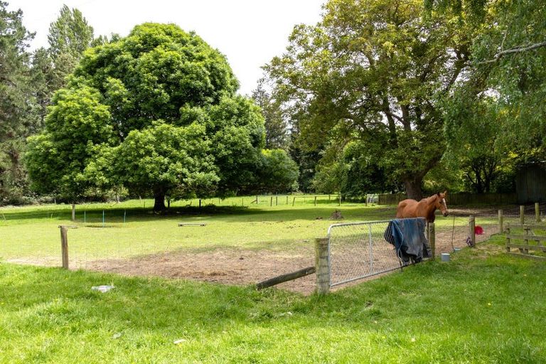 Photo of property in 170 Rawles Crossing Road, Greenstreet, Ashburton, 7771