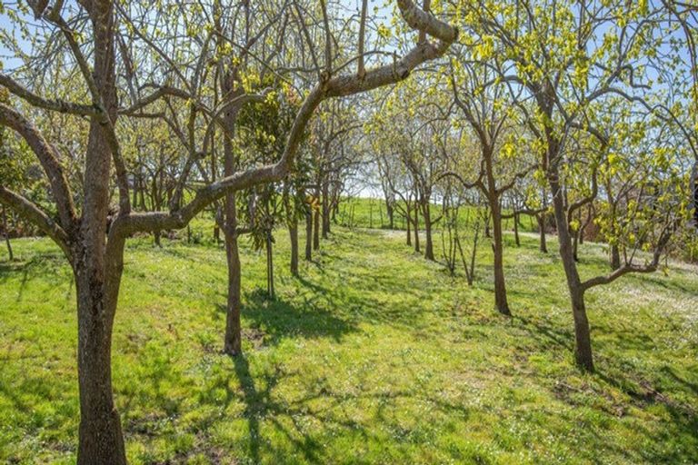 Photo of property in 15 Josephine Place, Te Kauwhata, 3782