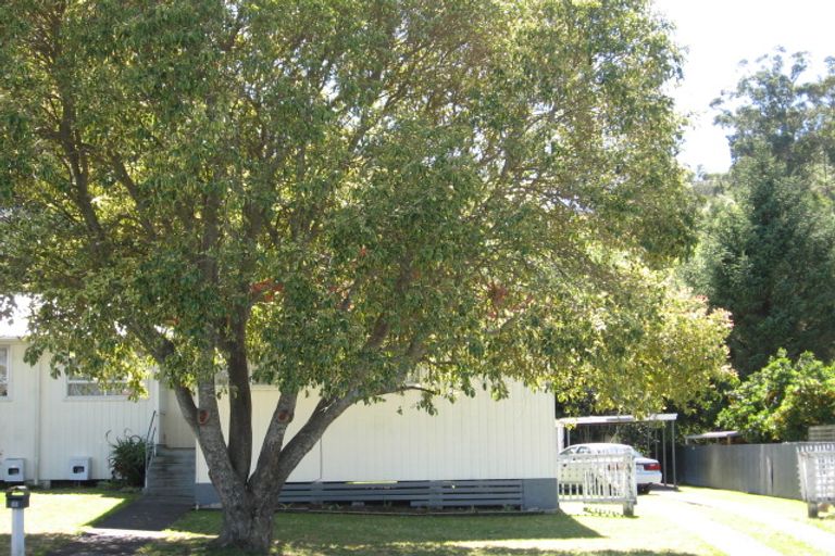 Photo of property in 55 Lawrence Street, Outer Kaiti, Gisborne, 4010