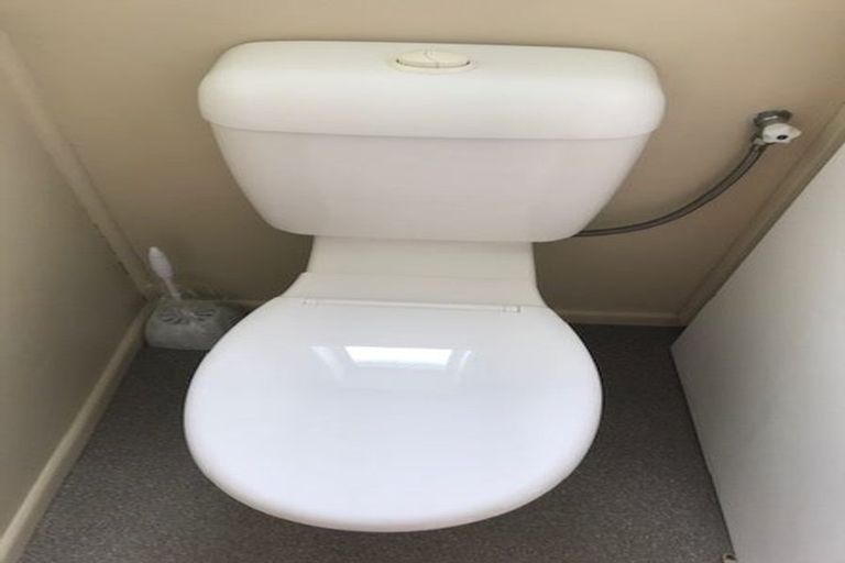 Photo of property in 77 Bartholomew Road, Levin, 5510