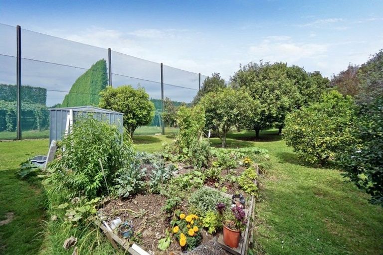 Photo of property in 3 Donelle Place, Te Puke, 3119