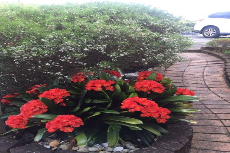 Photo of property in 9 Erica Road, Sunnynook, Auckland, 0620