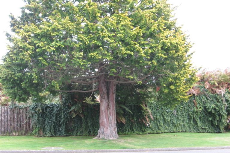 Photo of property in 23d Sumner Street, Glenholme, Rotorua, 3010