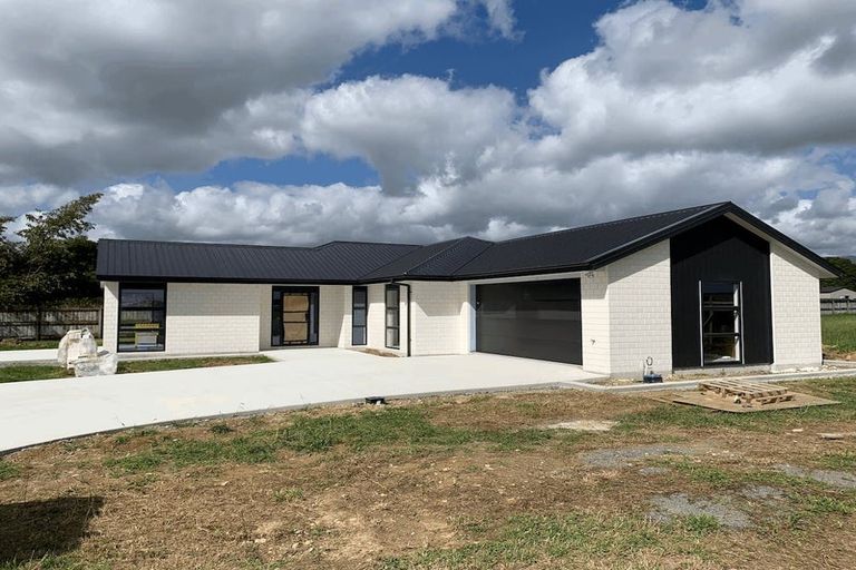 Photo of property in 38a Tainui Street, Levin, 5510