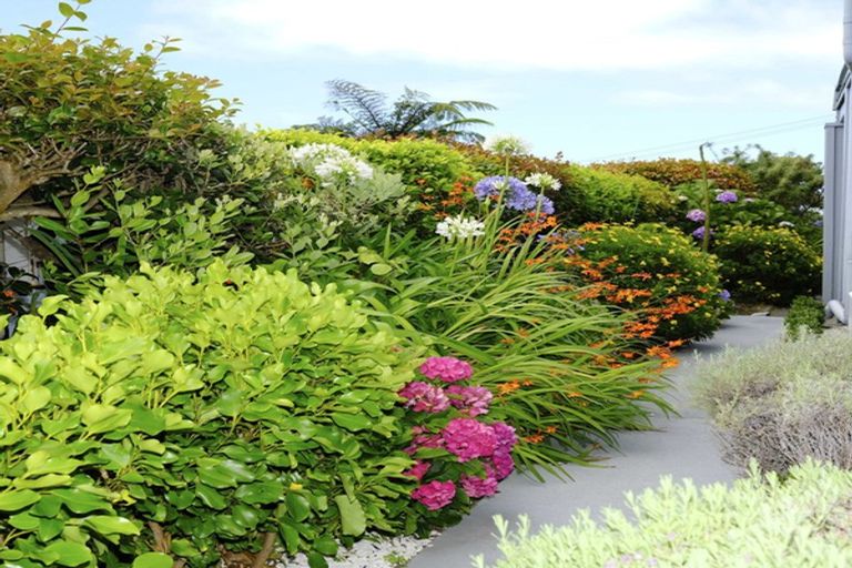 Photo of property in 339c Devon Street West, New Plymouth, 4310