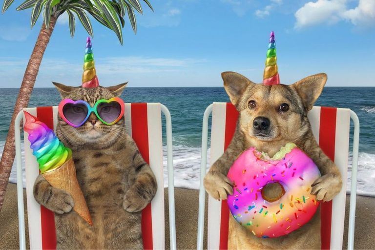 Photo of property in 3/258 Cockayne Road, Ngaio, Wellington, 6035