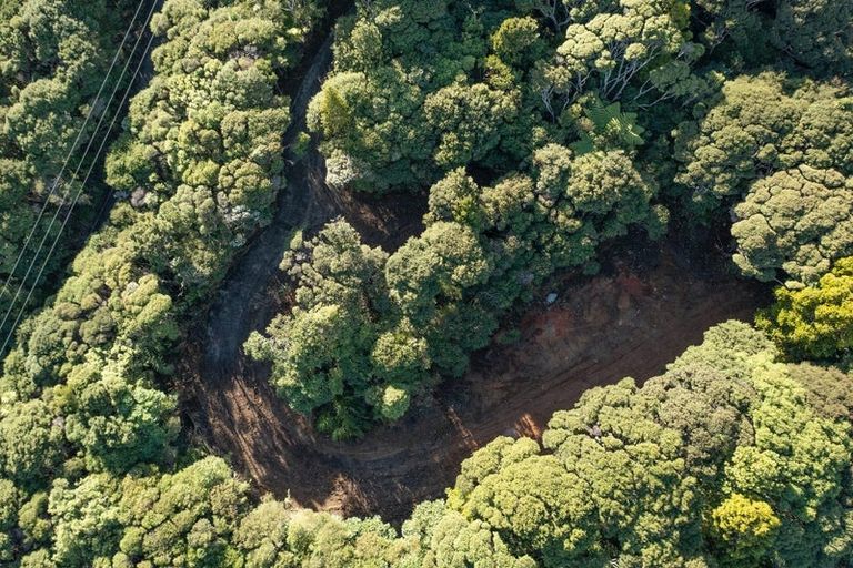 Photo of property in 14 La Trobe Track, Karekare, Auckland, 0772